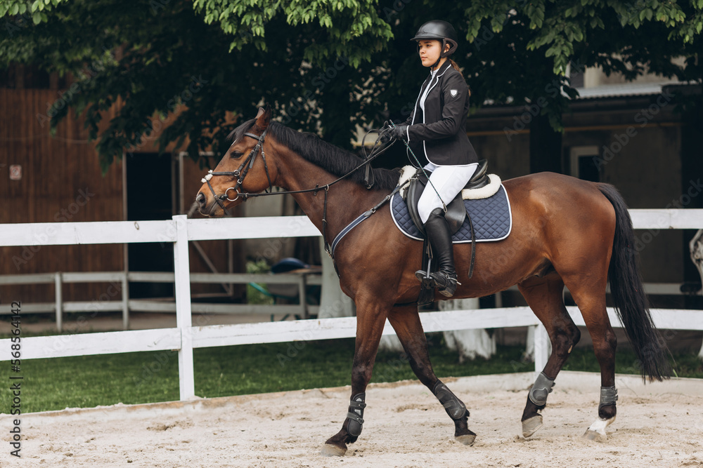 A girl rides fast on a brown racehorse next to a hurdle at a show jumping competition on a clear summer day A girl rides fast on a brown racehorse next to a hurdle at a show jumping competition on a clear summer day