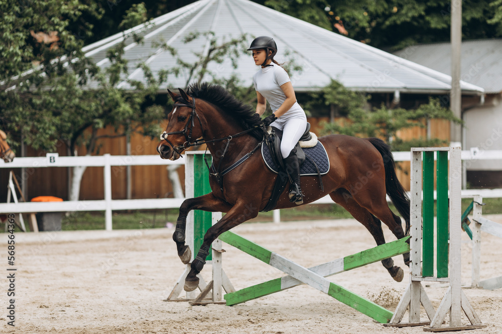 Horse Jumping, Equestrian Sports, Show Jumping Competition themed photo Horse Jumping, Equestrian Sports, Show Jumping Competition themed photo