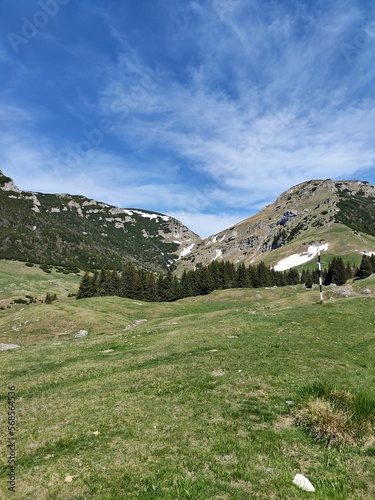 Alpine meadow in the mountains - springtime photo