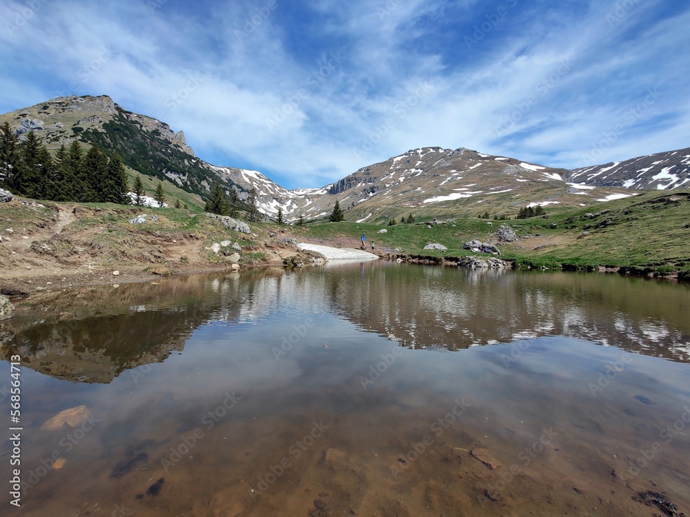 Fototapeta premium Alpine meadow in the mountains - springtime