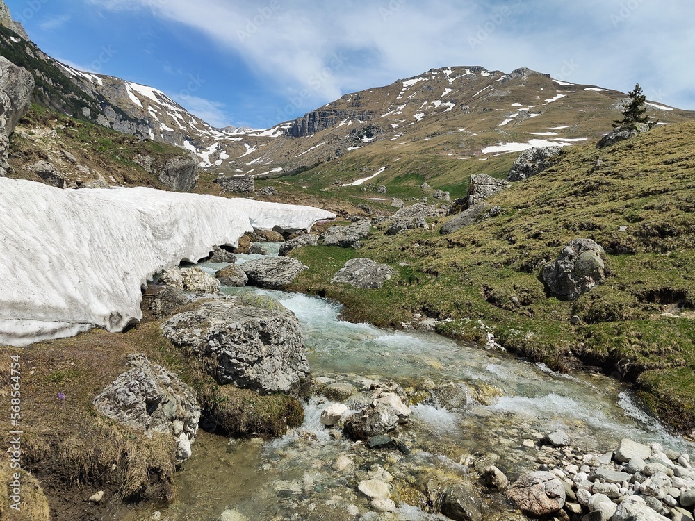 Obraz premium Alpine meadow in the mountains - springtime