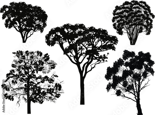 different trees five silhouettes isolated on white