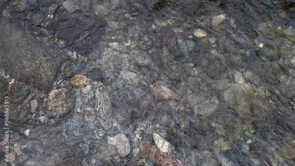 River with stones and pristine water River with stones and pristine water