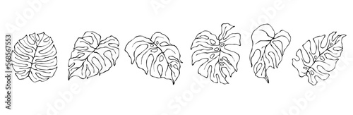 The collection of linear sketches of tropical leaves is monsters. Vector graphics.