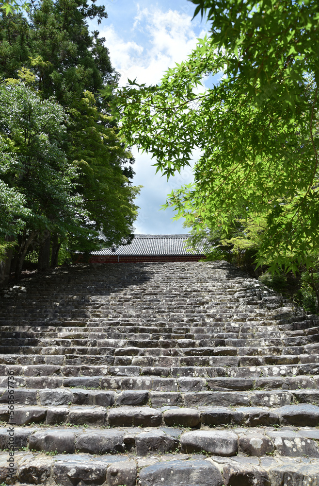 神護寺 石段と金堂 京都市右京区高雄 神護寺 石段と金堂 京都市右京区高雄