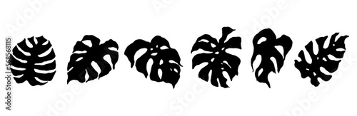 Monstera tropical leaves silhouette set. Vector graphics.