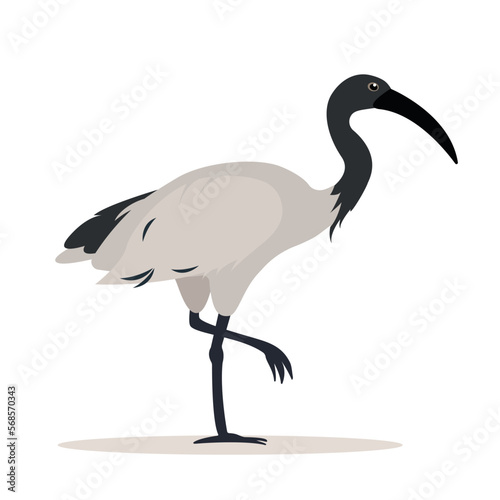 Ibis bird icon. Sacred bird of Egypt, Tropical big bird with long legs, animal isolated on white background. Flat or cartoon vector illustration. photo