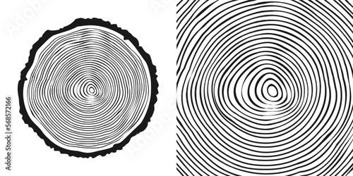 Round tree trunk cut, sawn pine or oak slice. Saw cut timber, wood. Wooden texture with tree rings. Hand drawn sketch. Vector illustration