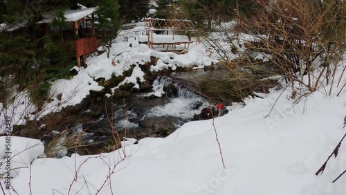 Mountain river on the background of the forest. A waterfall on the northern slopes of the Polonyna Borzhava mountain massif at the foot of Mount Gemba in the Ukrainian Carpathians. Shypit waterfall photo