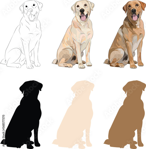 Labrador Retriever sitting dog. Cute Lab logo design, popular colors, Lab breed
pet character postcard art. Funny dog mascot. Detailed chocolate, brown, and yellow retriever illustration. Sitting pose
