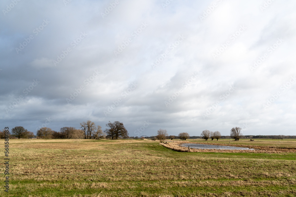 Fototapeta premium Landschaft der Elbtalaue im Wendland