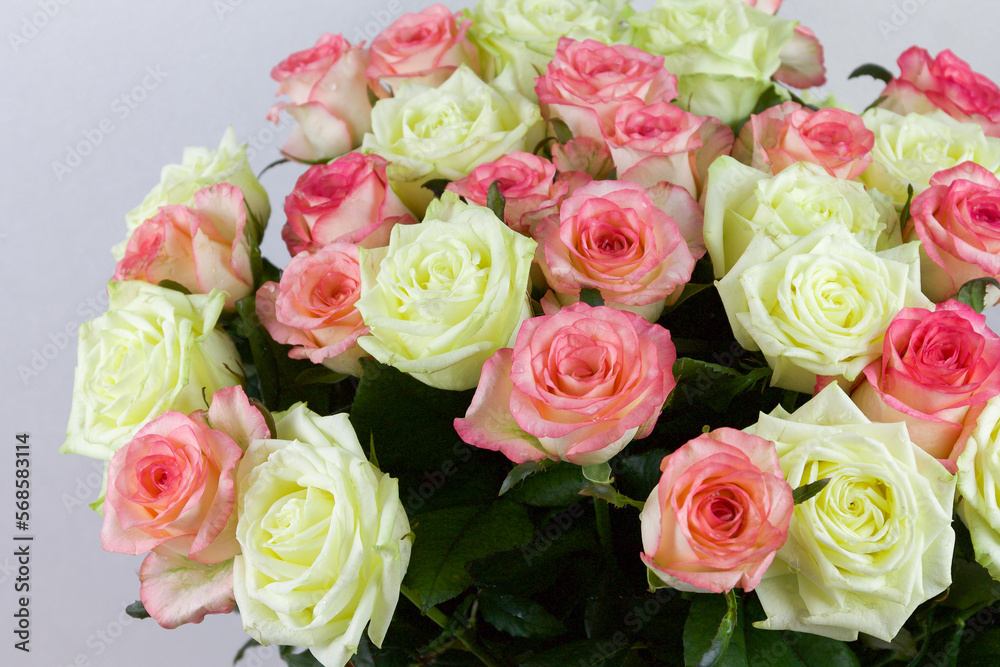Bouquet of pink, yellow roses. Composition of multi-colored roses. Background for a postcard. Bouquet of pink, yellow roses. Composition of multi-colored roses. Background for a postcard.