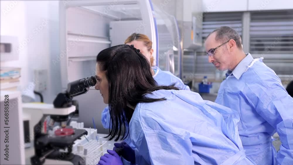 Three lab workers are doing research work at the laboratory
Three lab workers are doing research work at the laboratory
