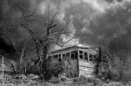 Abandoned House, Amador County photo