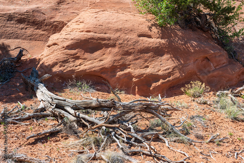 Red Sandstone Cliffs in Devil's Canyon, part of the McInnis Canyons CSA in western Colorado photo