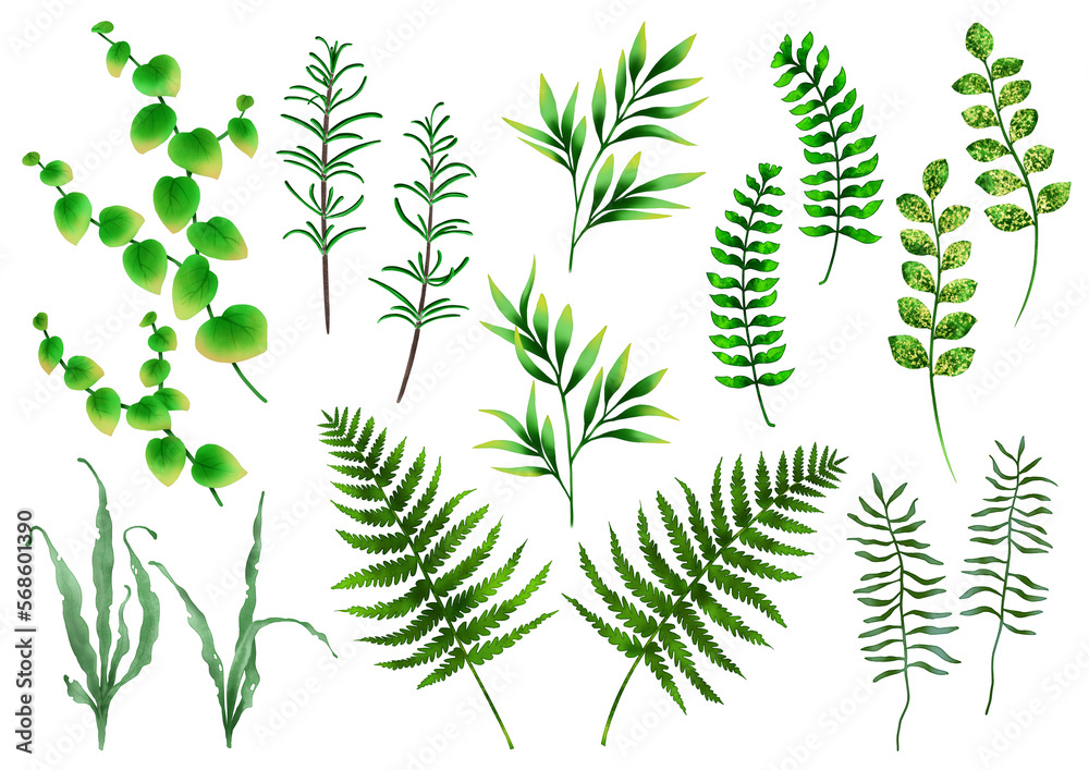 植物 葉 雑草 バラエティ 飾り