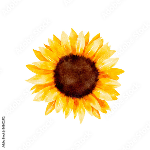 sunflower watercolor hand painted