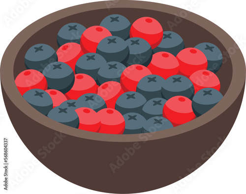 Berry diet icon isometric vector. Ayurvedic food. Cooking salad