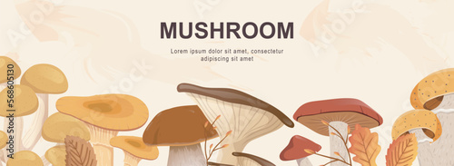 Mushrooms horizontal web banner. Cep, boletus, chanterelle, honey agaric, champignon, russule and other autumn forest harvest. Vector illustration for header website, cover templates in modern design