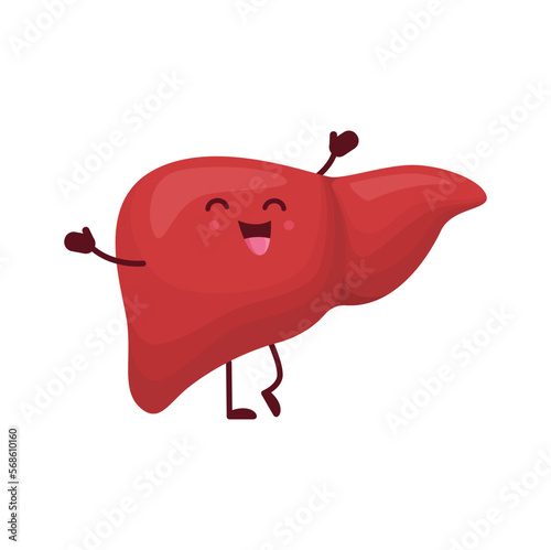 Cartoon liver human body organ funny character