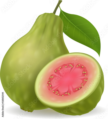 Realistic green guava