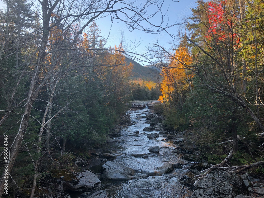 autumn in the mountains