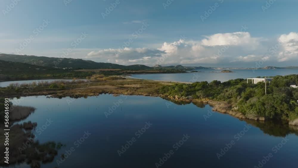 A pond with various birds behind the beach A pond with various birds behind the beach