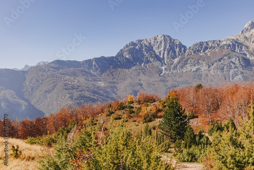 Landscape view of autumn hills with alps in the background in rural Europe.