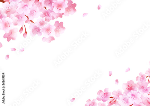 桜の背景 © ちぬまる