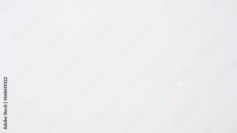 桜 桜