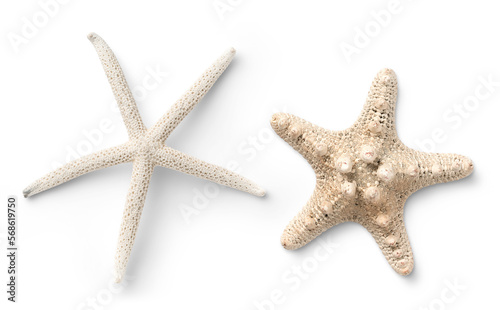 Fotografie, Obraz two different types of white starfish isolated over a transparent background, oc