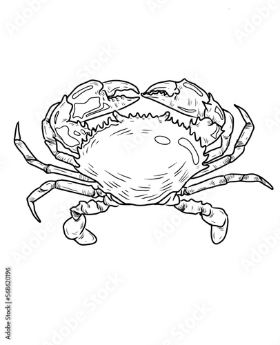 Fresh sea food