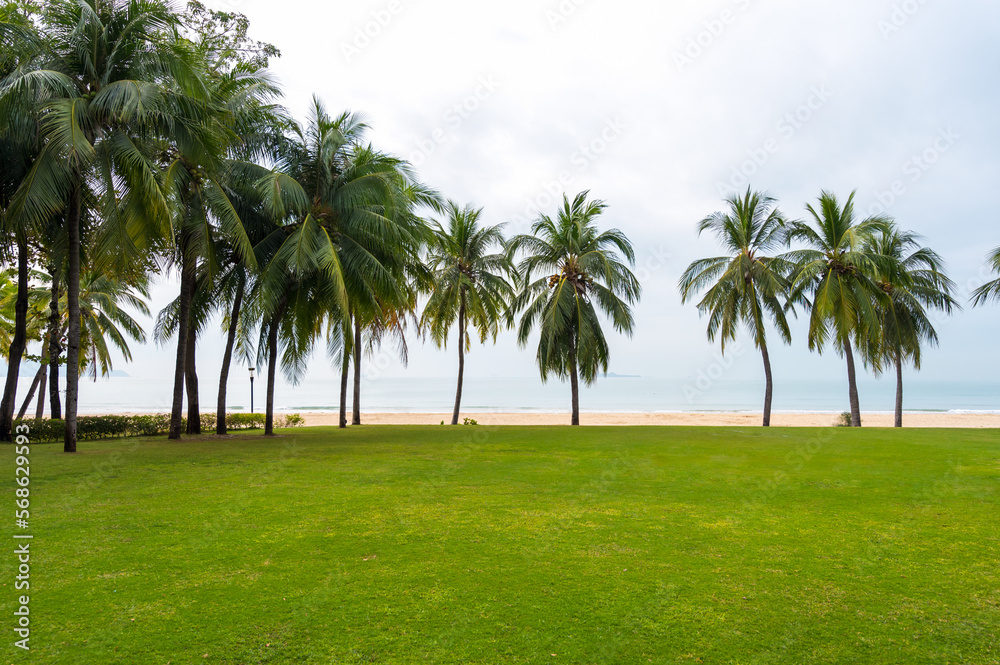 Grass and coconut trees by the sea