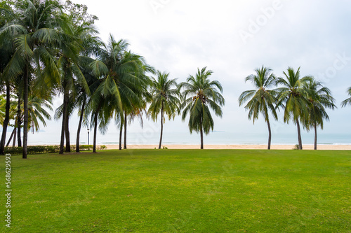 Grass and coconut trees by the sea © chendongshan