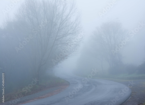 road in the fog