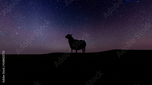 silhouette of a sheep