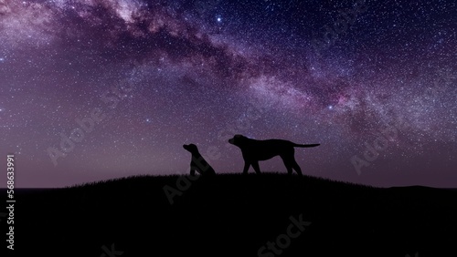 silhouette of a dogs