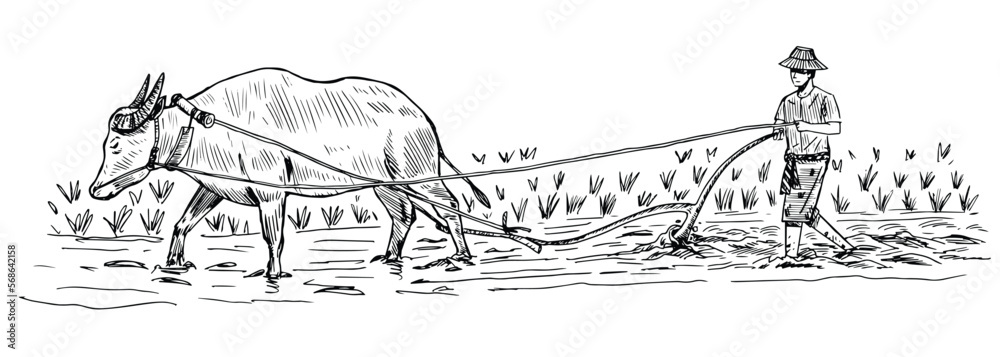 Obraz premium Thai farmer with buffalo sketch illustration