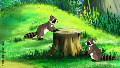Raccoons in a forest illustration