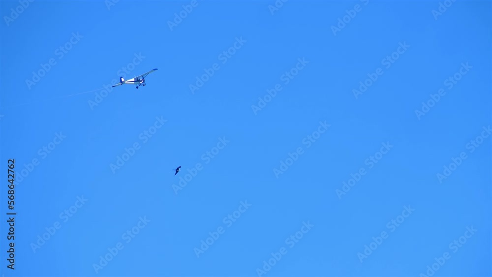 Bird and Plane flying together slow mo 24fps UHD Bird and Plane flying together slow mo 24fps UHD