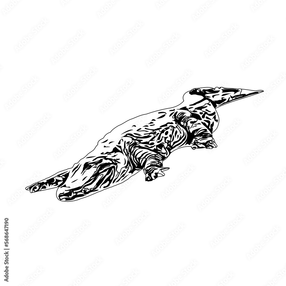Black and white sketch of a crocodile with transparent background
