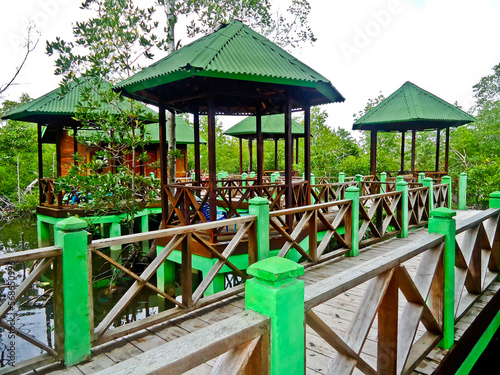 Wallpaper Mural mangrove ecotourism. tracking in the middle of the manrove forest Torontodigital.ca