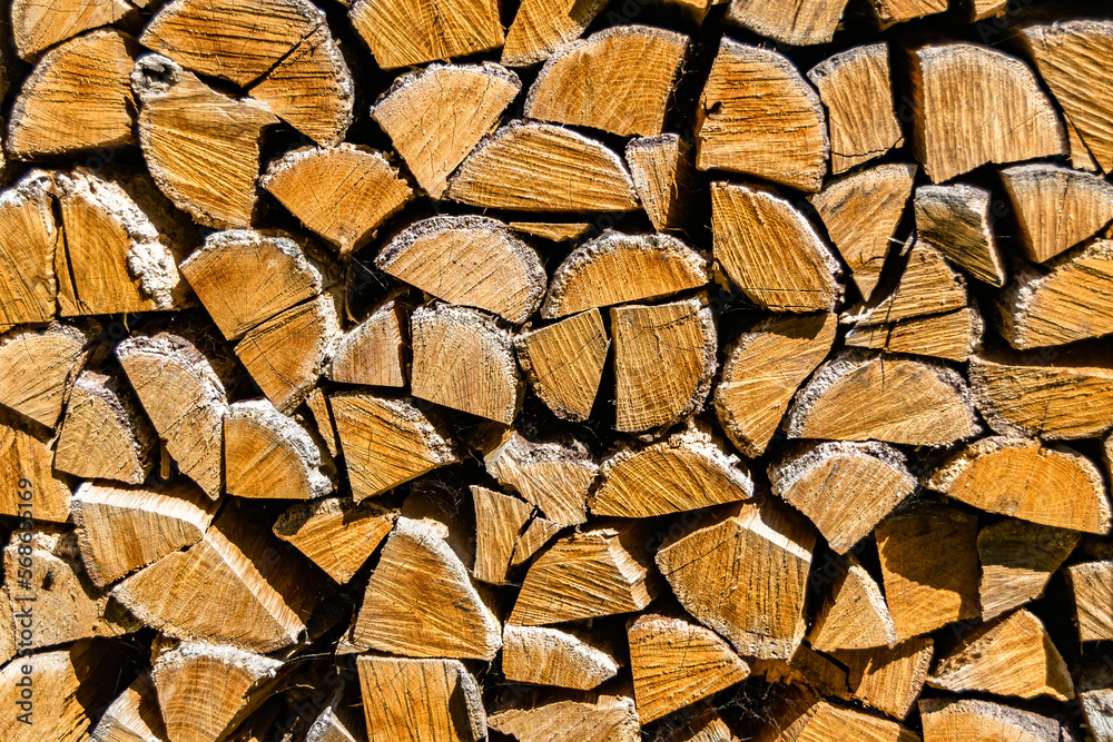 Photography on theme big wall of stacked oak tree logs in cracks Photography on theme big wall of stacked oak tree logs in cracks