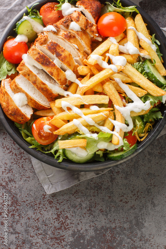 Pittsburgh Chicken Salad slices of juicy chicken breast and a pile of hot, crispy fries on top of a cool, crunchy salad closeup on the bowl on the table. Vertical top view from above