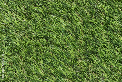 natural green grass background Top angle shot and close up, conceptual use for green backdrop, football field, golf course, sport field, rugby field, garden ground.