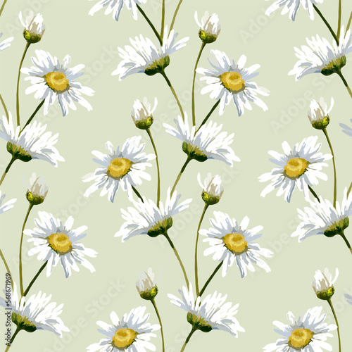 Beautiful wild flowers. Meadow flowers, field flowers.
Wild plants and flowers, pattern, field herbs, natural background, hand drawn illustration. 