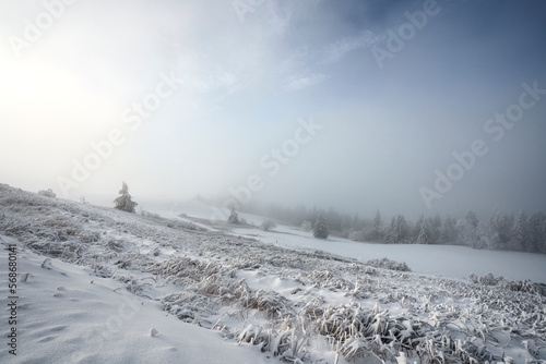 Traumhafte Winterlandschaft auf der Wasserkuppe in der Rhön 6 photo