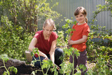  enjoy the little things. favorite family hobby. Mom and child daughter planting seedling In ground in garden. Kid helps in the home garden. slow life. Eco-friendly