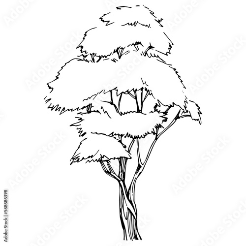 Detailed tree sketch hand draw silhouettes. Black and white nature illustration element.