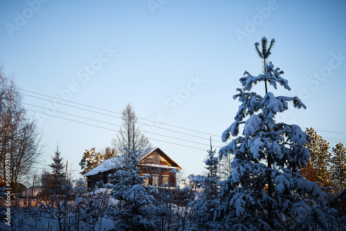 Village house in winter snow scene. A snow covered tree with snow drifts at a village house in winter